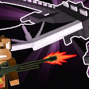 Minecraft Gun Speedrun (I SHOT THE ENDER DRAGON)