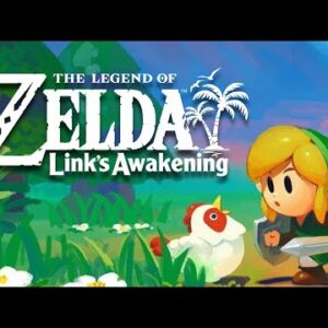 The Legend of Zelda : Link's Awakening (dunkview)