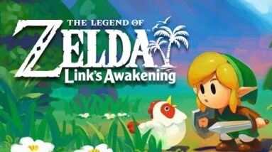 The Legend of Zelda : Link's Awakening (dunkview)